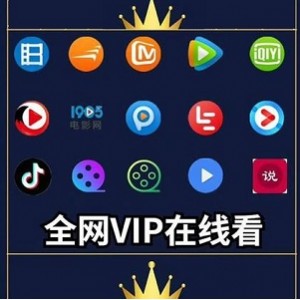 全网付费影视+全网免费小说二合一！！！